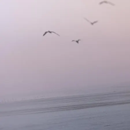 Apartment Promo Inizio Anno, Eleganza In Centro Citta, Mare E Parcheggio A Due Passi *