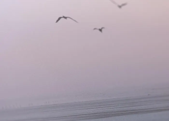 Daire Promo Inizio Anno, Eleganza In Centro Citta, Mare E Parcheggio A Due Passi *